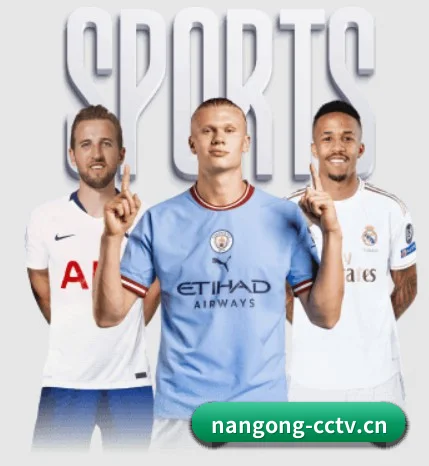 南宫28 APP 界面(NangongSports)